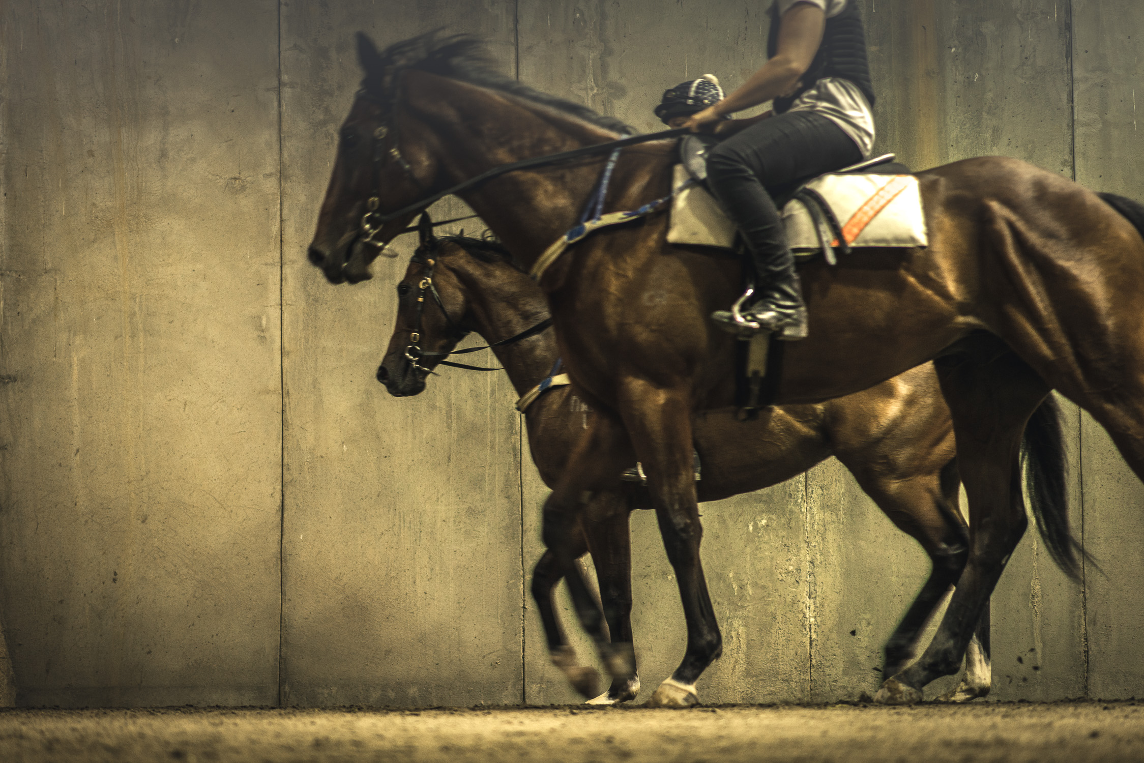 Meet Brendan McCarthy Latest News VRC Brendan Mccarthy Horse Trainer 2025 Dates